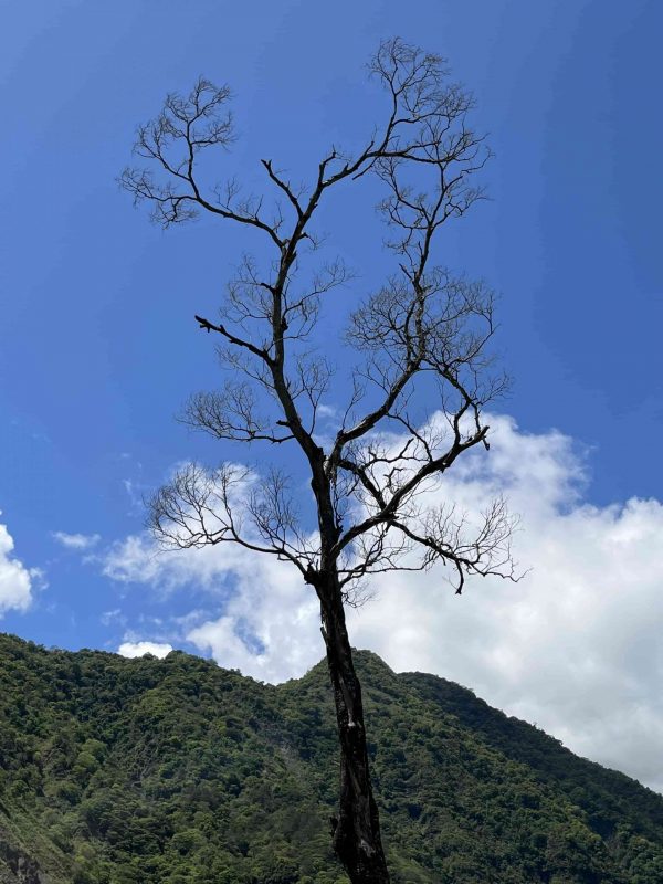 2020 04 04 04 南橫、復興 scaled e1649144138585