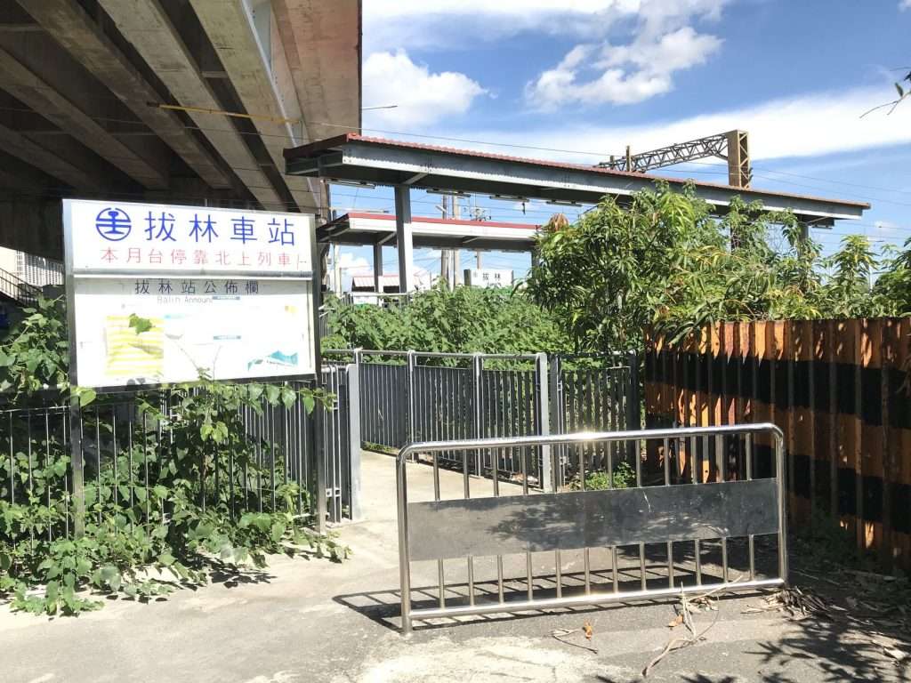 拔林 2020 07 18 2 1