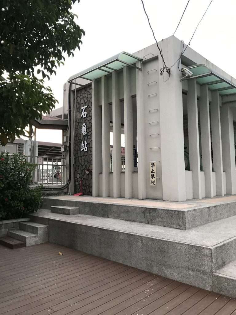 2020 07 25 11 石龜