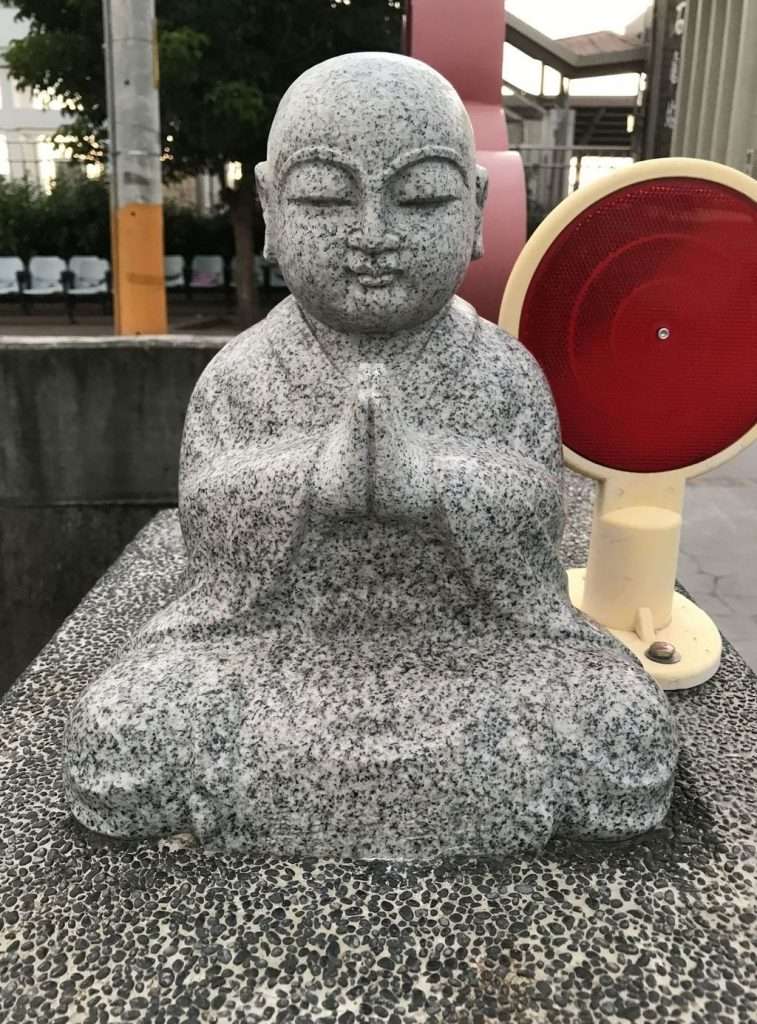 2020 07 25 14 石龜