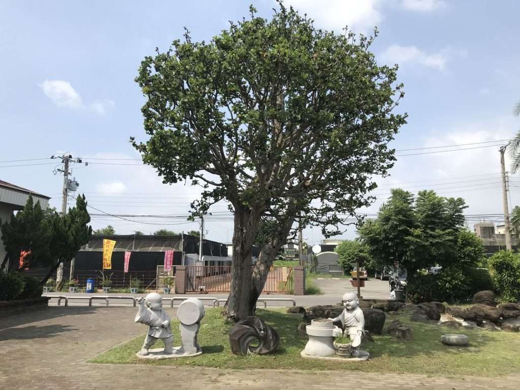 2020 08 09 10 南靖