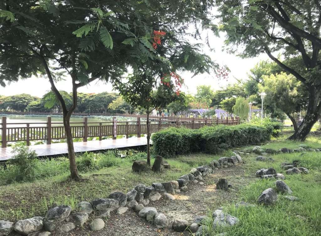 2020 08 09 3 新營 天鵝湖