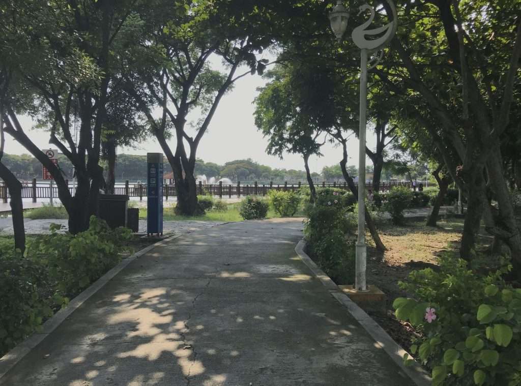 2020 08 09 5 新營 天鵝湖