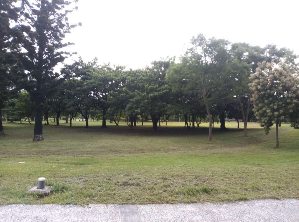 衛武營 2020 08 01 12