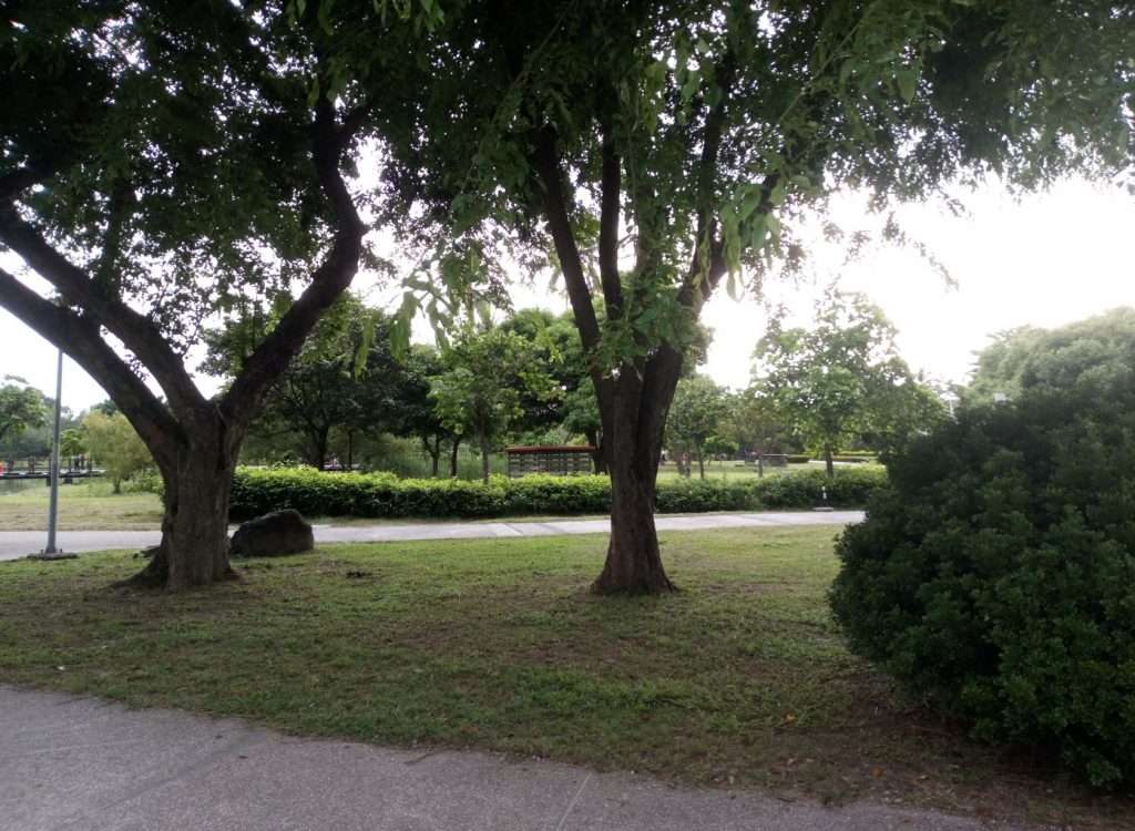 衛武營 2020 08 01 8