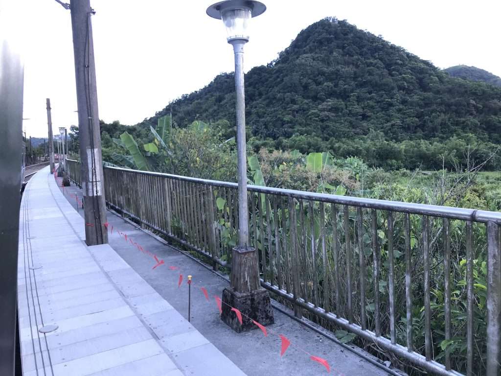 2020 08 14 3 台鐵 牡丹