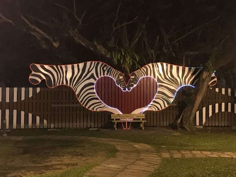 2020 10 15 11 花蓮 e1604308842979