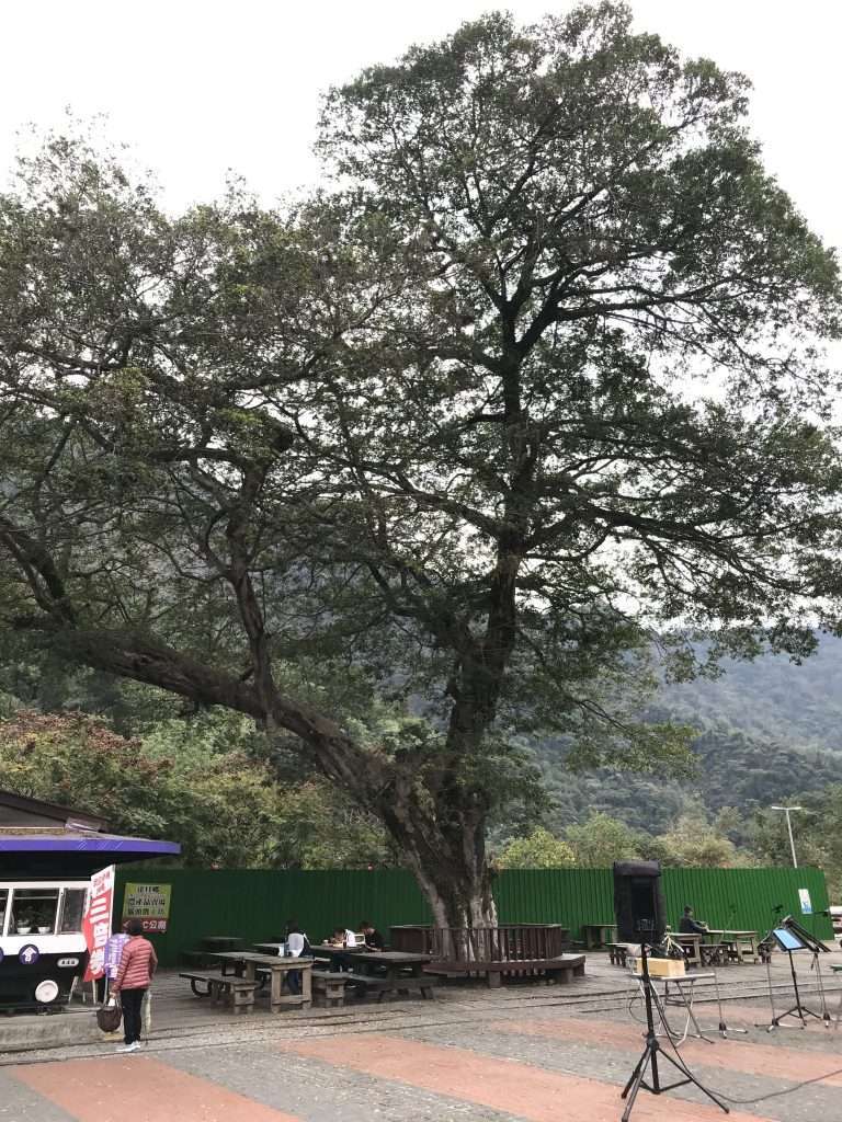 2020 11 30 23 車埕