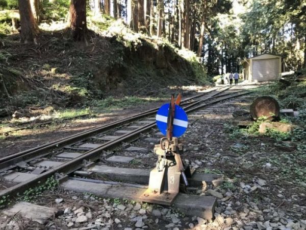 2021 11 06 18 阿里山 水山線 scaled e1648223960661