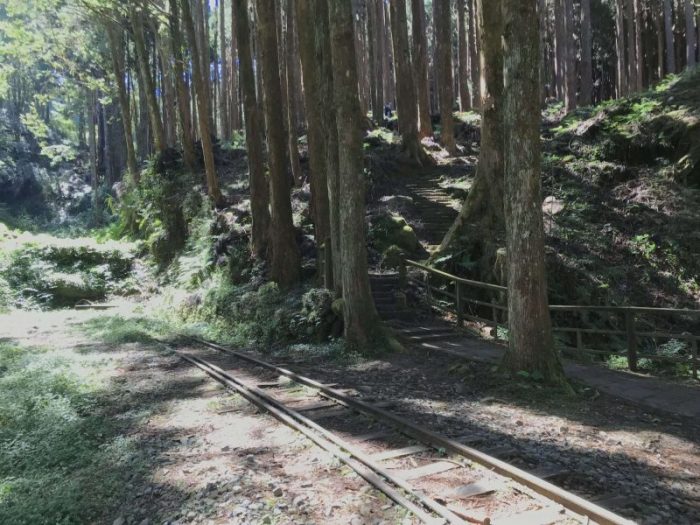 2021 11 06 66 阿里山 水山線 scaled e1648223196491