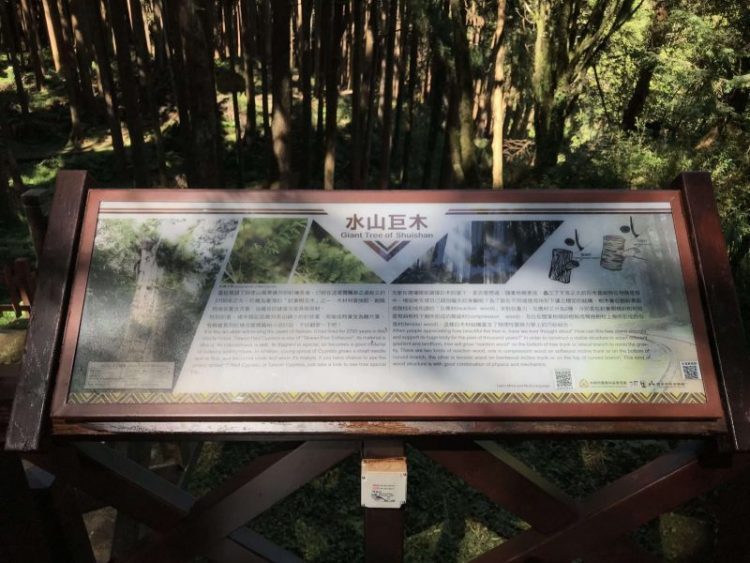 2021 11 06 70 阿里山 水山線 scaled e1648223154468