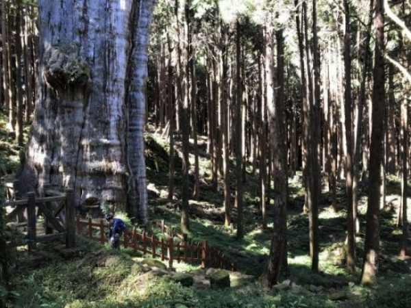 2021 11 06 75 阿里山 水山線 scaled e1648223650386