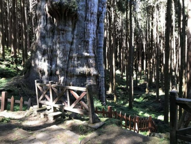 2021 11 06 77 阿里山 水山線 scaled e1648223622255