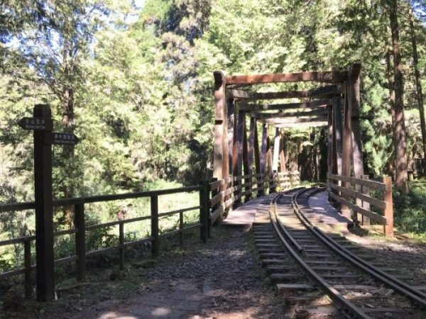 2021 11 06 83 阿里山 水山線 scaled e1648223591781