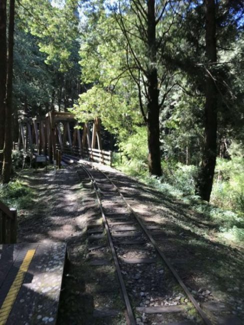 2021 11 06 84 阿里山 水山線 scaled e1648223577313