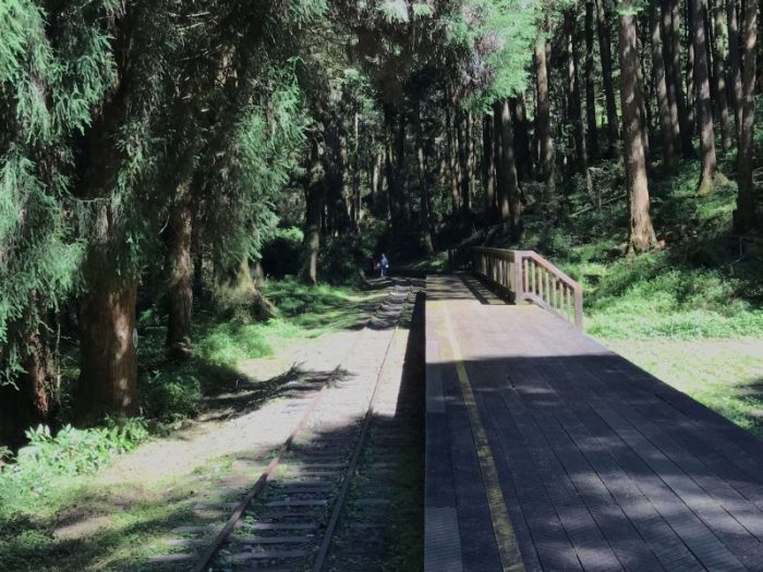 2021 11 06 85 阿里山 水山線 scaled e1648223044282