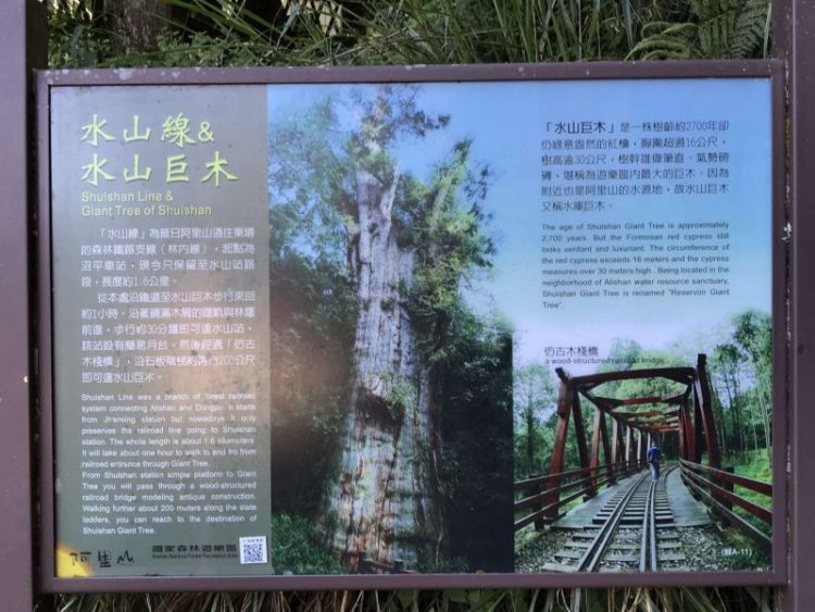 2021 11 06 86 阿里山 水山線 scaled e1648223008478