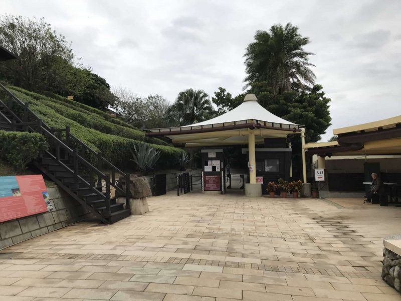 2021 11 12 33 野柳 scaled e1646147261617