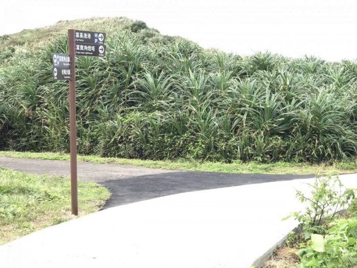 2021 11 12 44 台灣極北 富貴角燈塔 scaled e1646191930432