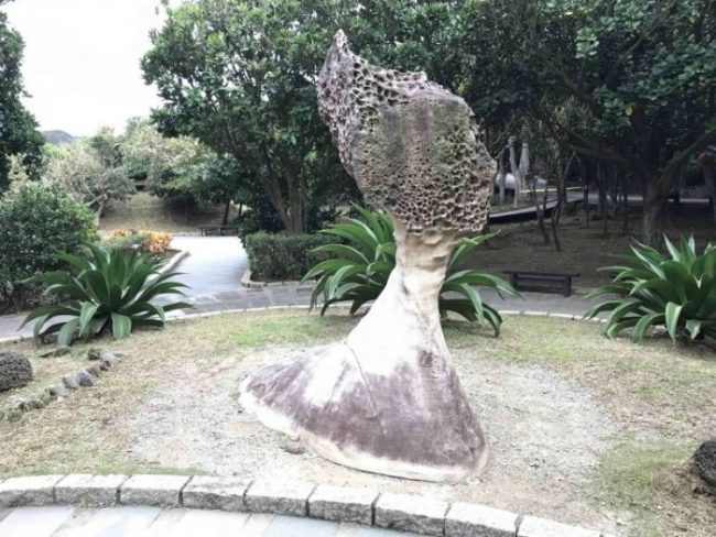 2021 11 12 49 野柳 scaled e1646148146471