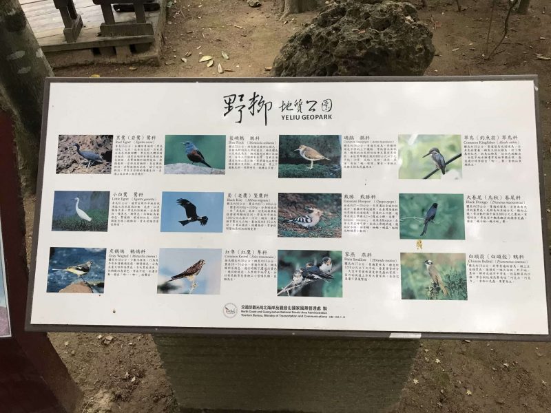 2021 11 12 51 野柳 scaled e1646147023416