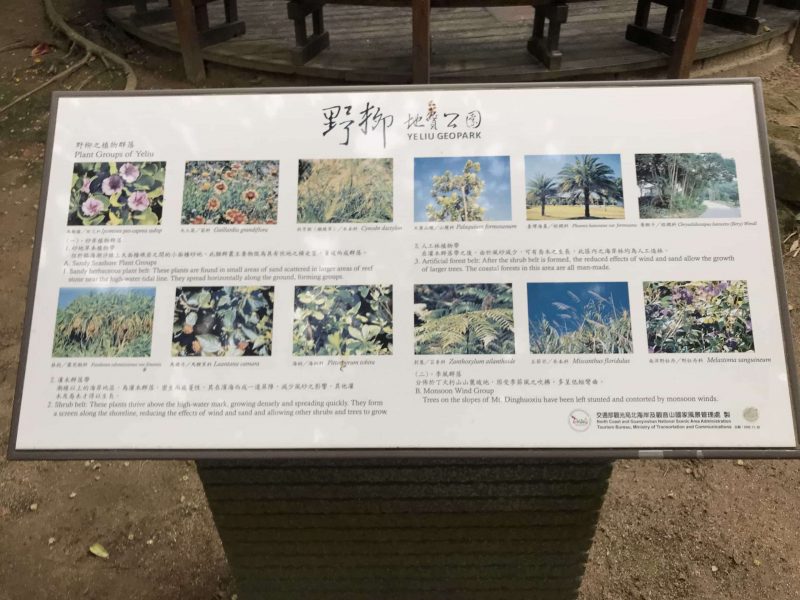 2021 11 12 52 野柳 scaled e1646147015606