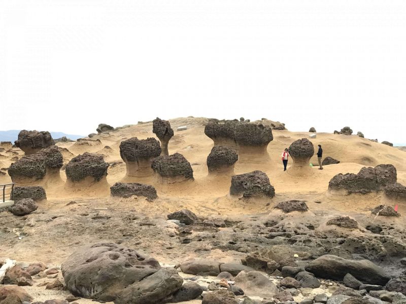 2021 11 12 61 野柳 scaled e1646146937575