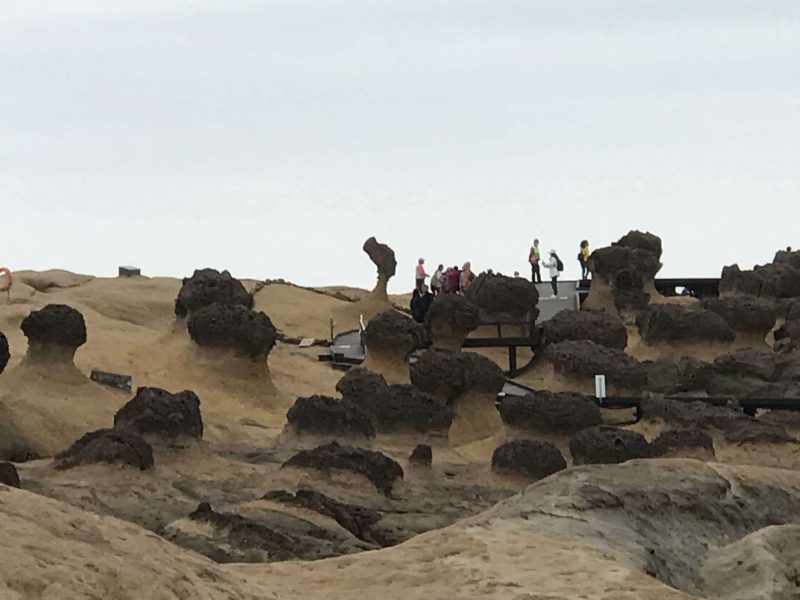 2021 11 12 65 野柳 scaled e1646146898510