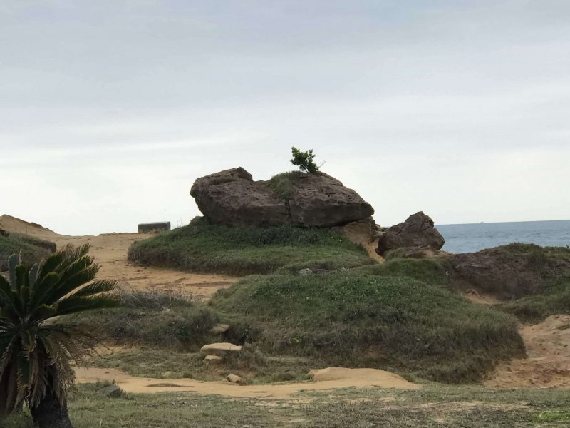 2021 11 12 89 野柳 scaled e1646146635851