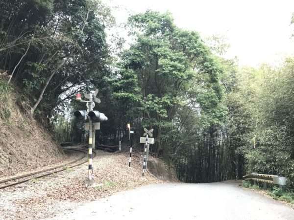 2021 03 04 01 交力坪 e1615450937625