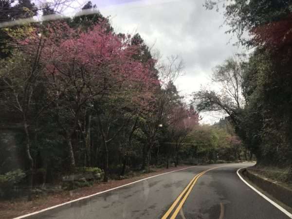2021 03 04 01 塔塔加 e1615453376301