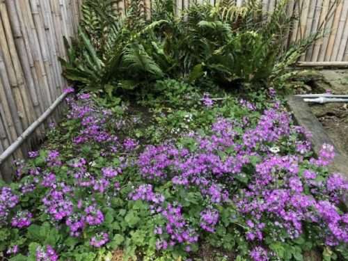 2021 03 04 02 十字路 e1615445920574