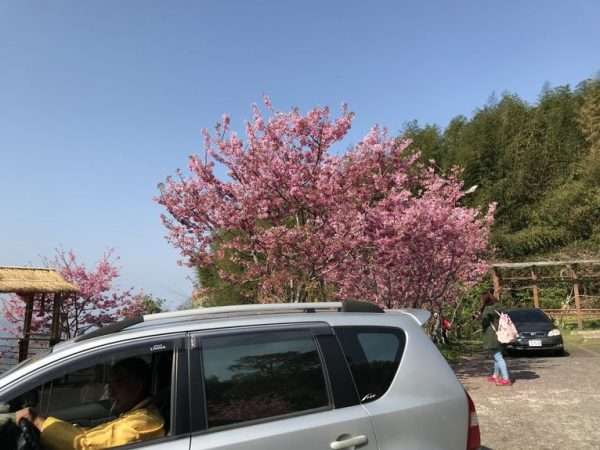 2021 03 04 02 多林 e1615452315476