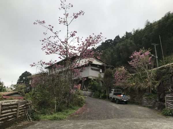 2021 03 04 03 水社寮 e1615449944376