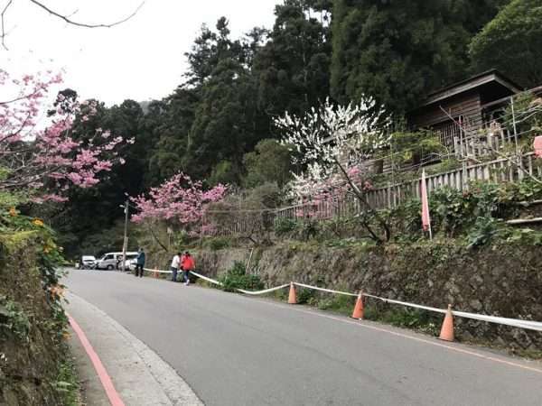 2021 03 04 04 奮起湖 e1615464255719