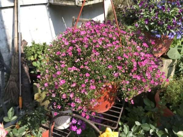 2021 03 04 06 十字路 e1615445997245