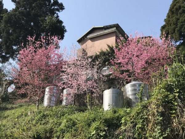 2021 03 04 08 十字路 e1615446025763