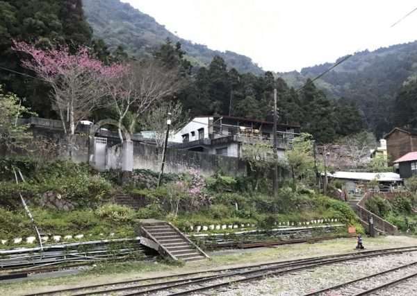 2021 03 04 08 奮起湖 e1615464297718