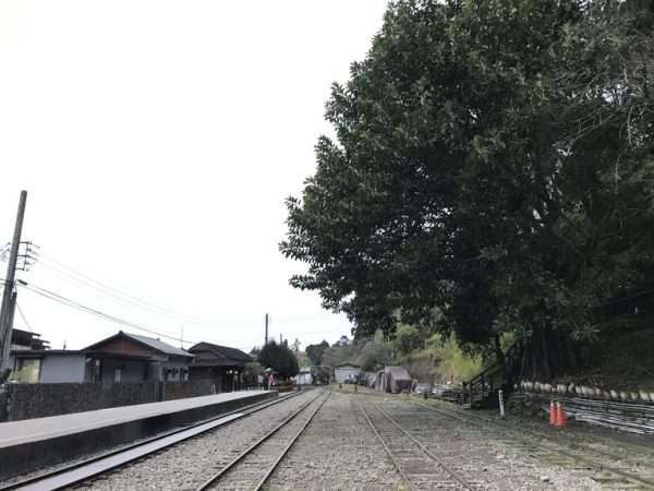 2021 03 04 11 奮起湖 e1615464328296