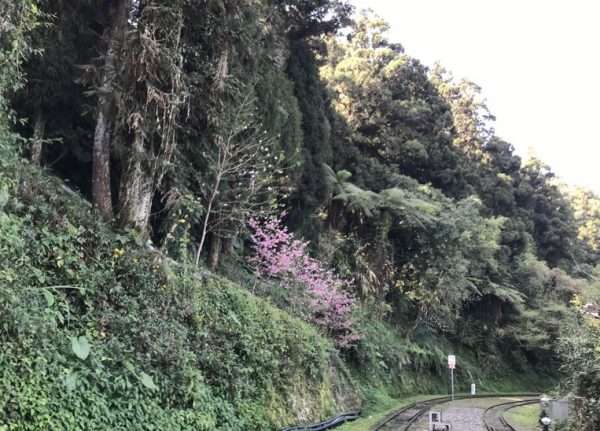 2021 03 04 19 十字路 e1615446161825