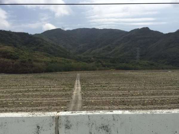 2021 03 06 03 枋野 e1615564150886