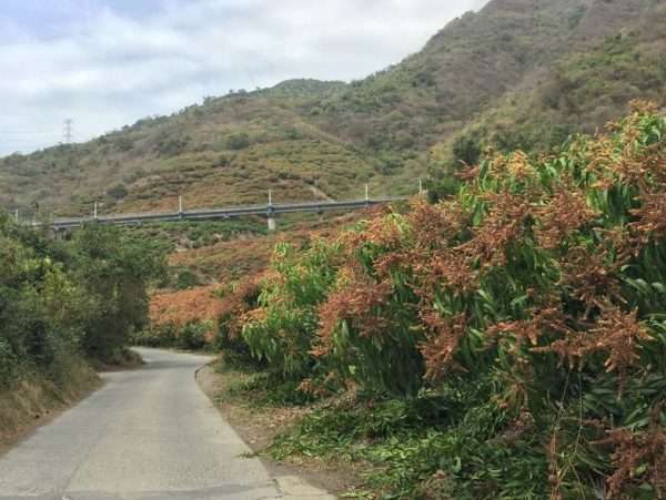 2021 03 06 04 枋野 e1615564138473