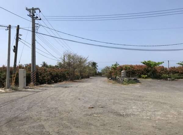 2021 03 06 05 內獅 e1615544247960