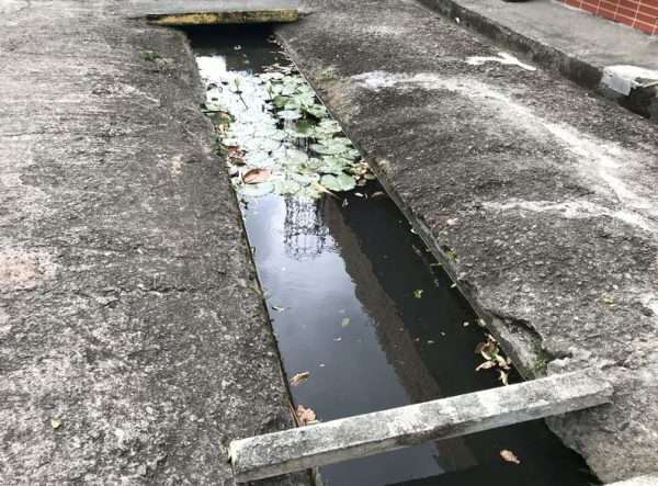 2021 03 06 11 枋野 e1615564058948