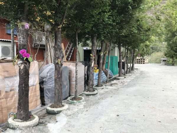 2021 03 06 13 枋野 e1615564040931