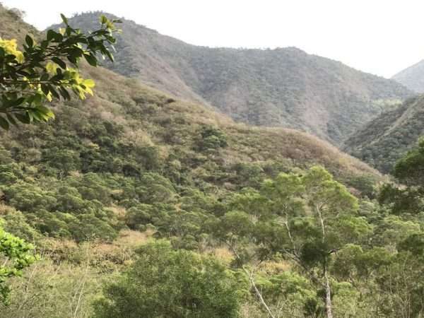 2021 03 06 16 枋野 e1615564007472