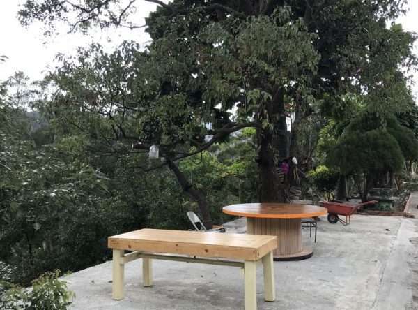 2021 03 06 17 枋野 e1615563997393