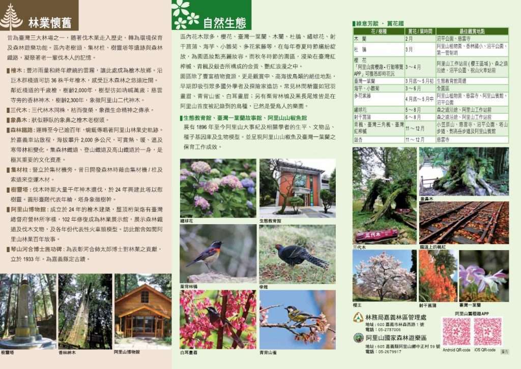 阿里山 觀光摺頁 V2 2 林業懷舊 自然生態 瀏覽檔