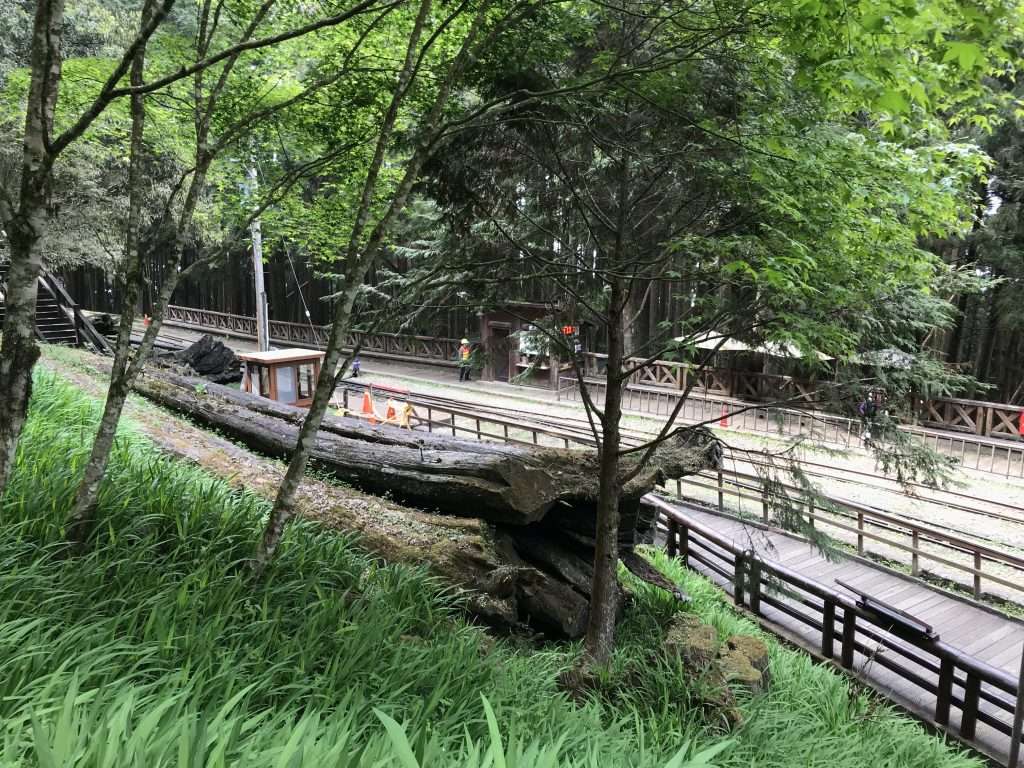 2021 04 08 07 阿里山 神木 車站