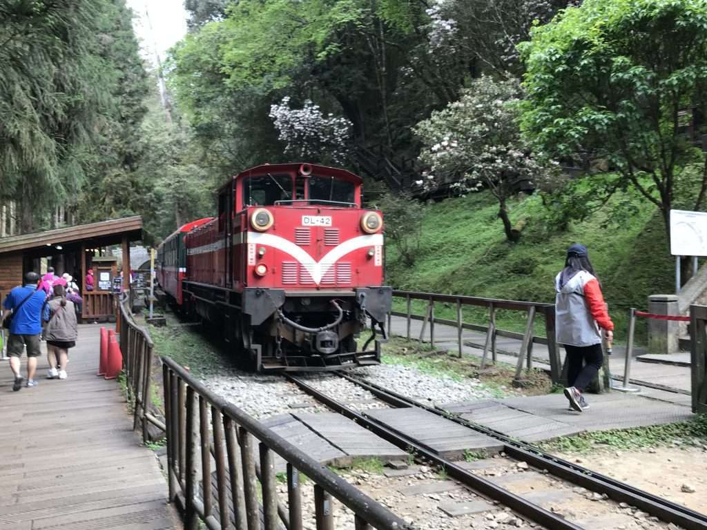 2021 04 08 11 阿里山 神木 車站